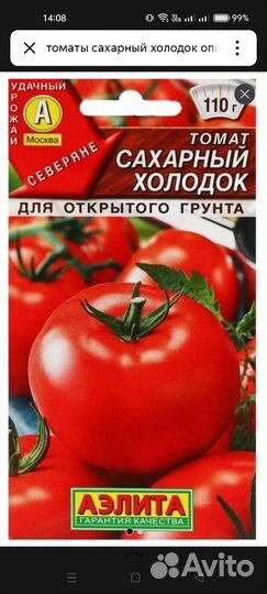 Рассада томатов,перцев,баклажанов