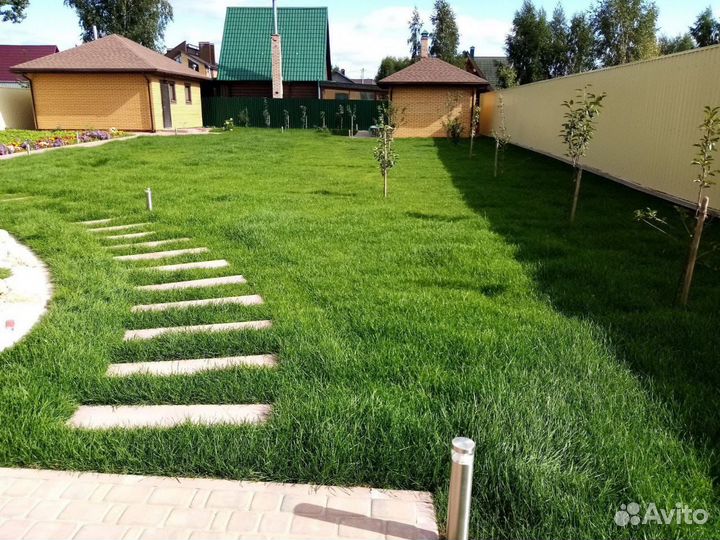 Ландшафтный дизайн, брусчатка, газон