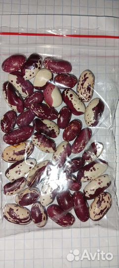 Семена.фасоль разные сорта