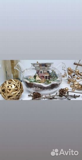 Композиция из настоящих растений