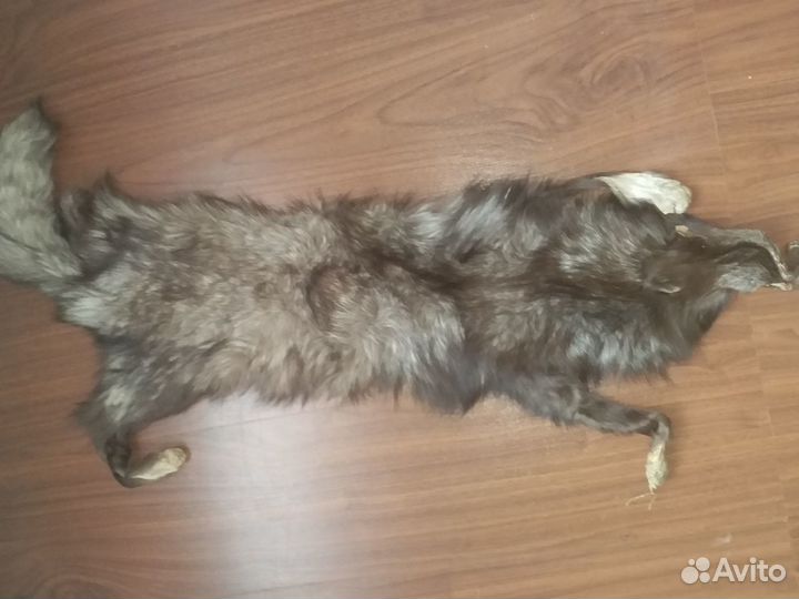 Шкурка песца