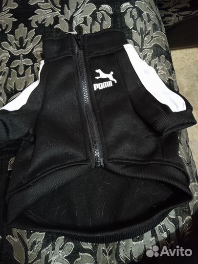 Толстовка для собак