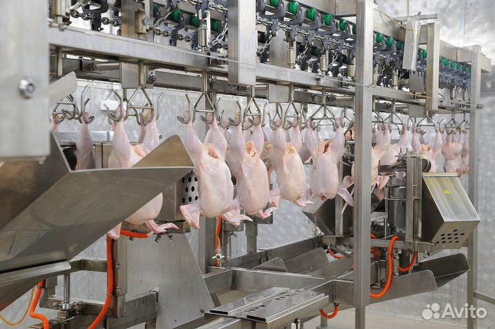 Фарш куриный, свинина, курица