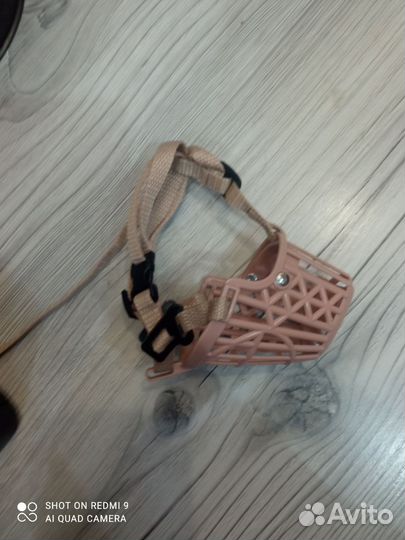 Намордник для собак