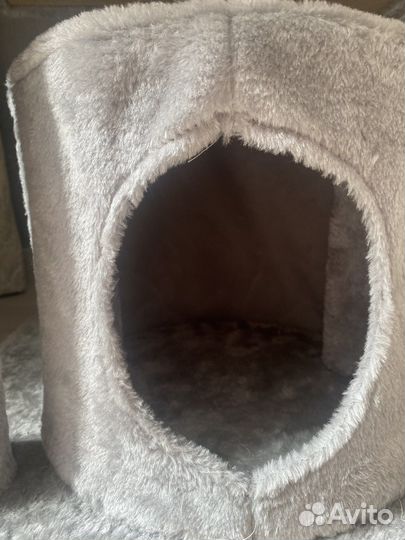 Когтеточка