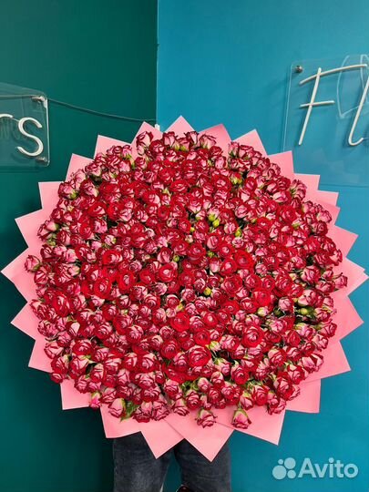 Кустовые розы