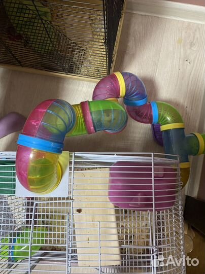 Хомяк джунгарский,Клетка,лабиринт, ванна с песком