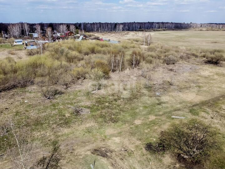 Участок 10 сот. (СНТ, ДНП)