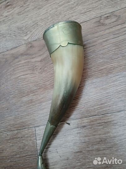 Рог питьевой