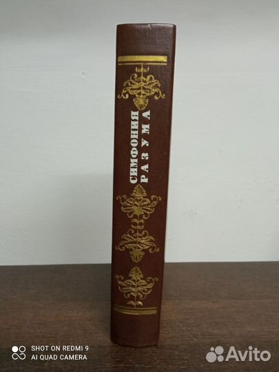 В. Воронцов. Симфония разума