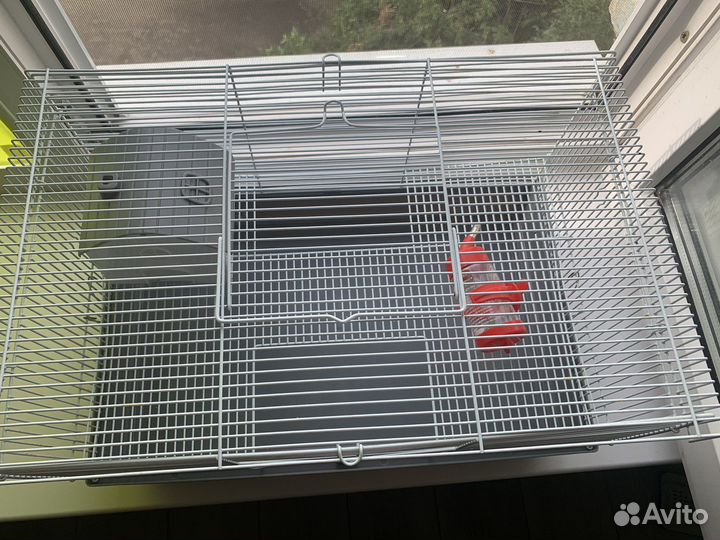 Клетка для грызунов