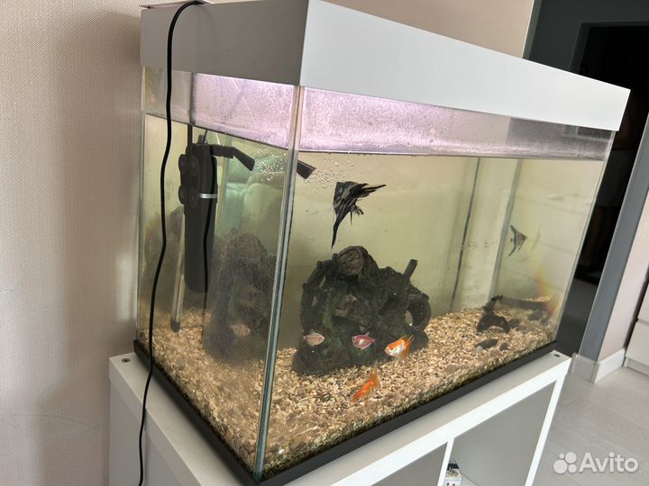Аквариум на 120 литров