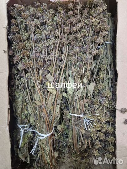 Травы для бани