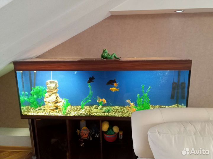 Аквариум