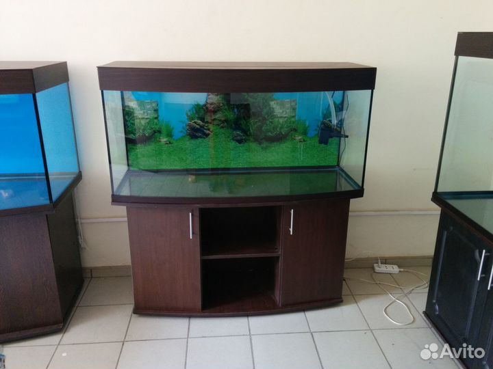 Аквариум 300л. полукруглый свет биофильтр тумба