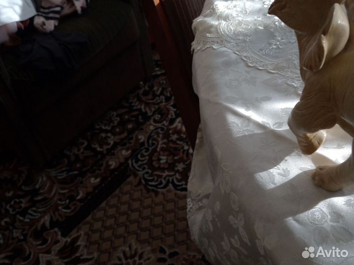 Слон из СССР