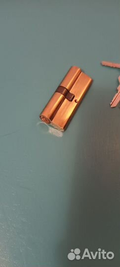 Личинка замка