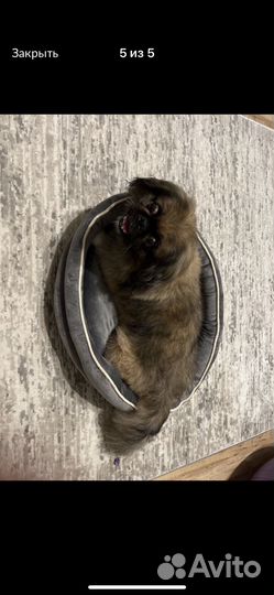 Лежанка для животных