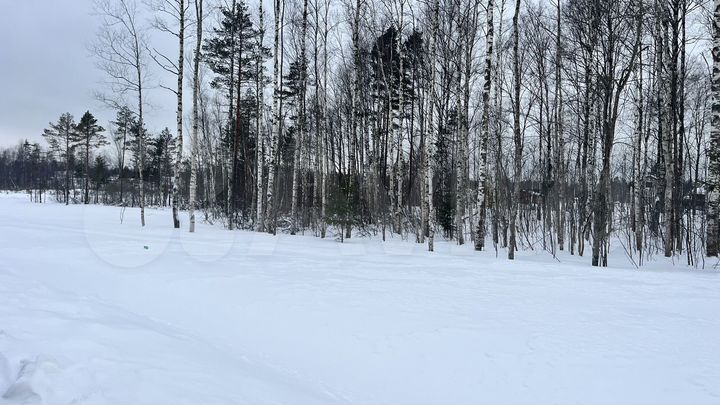 Участок 6 сот. (СНТ, ДНП)