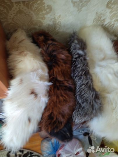 Меховой воротник песец,чернобурка