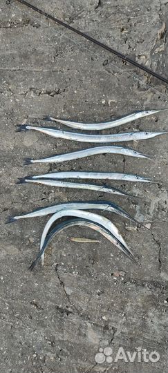 Блесна,пилькер,воблер