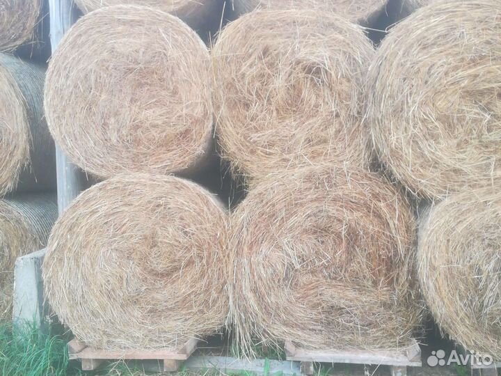 Сено в рулонах укос июль 2023
