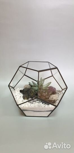 Флорариум. Подарок на день рождения