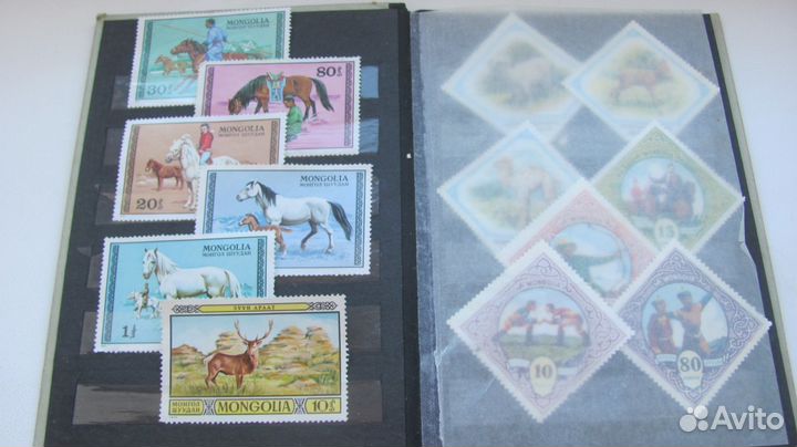 Монголия в люксе