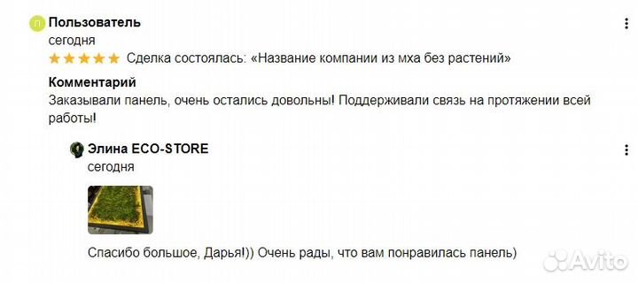 Фитопанно из стабилизированного мха