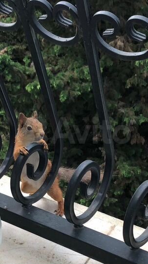 Квартира-студия, 30 м², 3/5 эт.