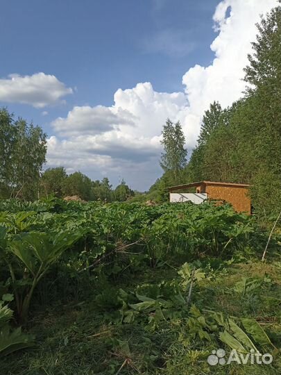 Покос травы, благоустройство участка