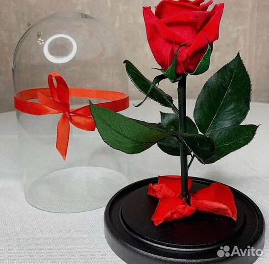 Вечная роза в колбе