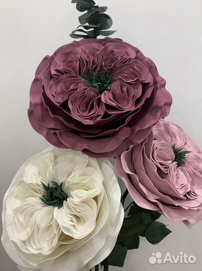 Ростовые цветы