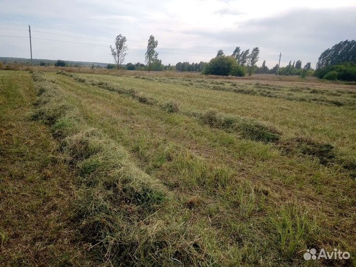 Сено и солома