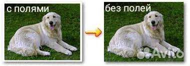 Печать фотографий 10х15, 15х21, 21х30 + документов