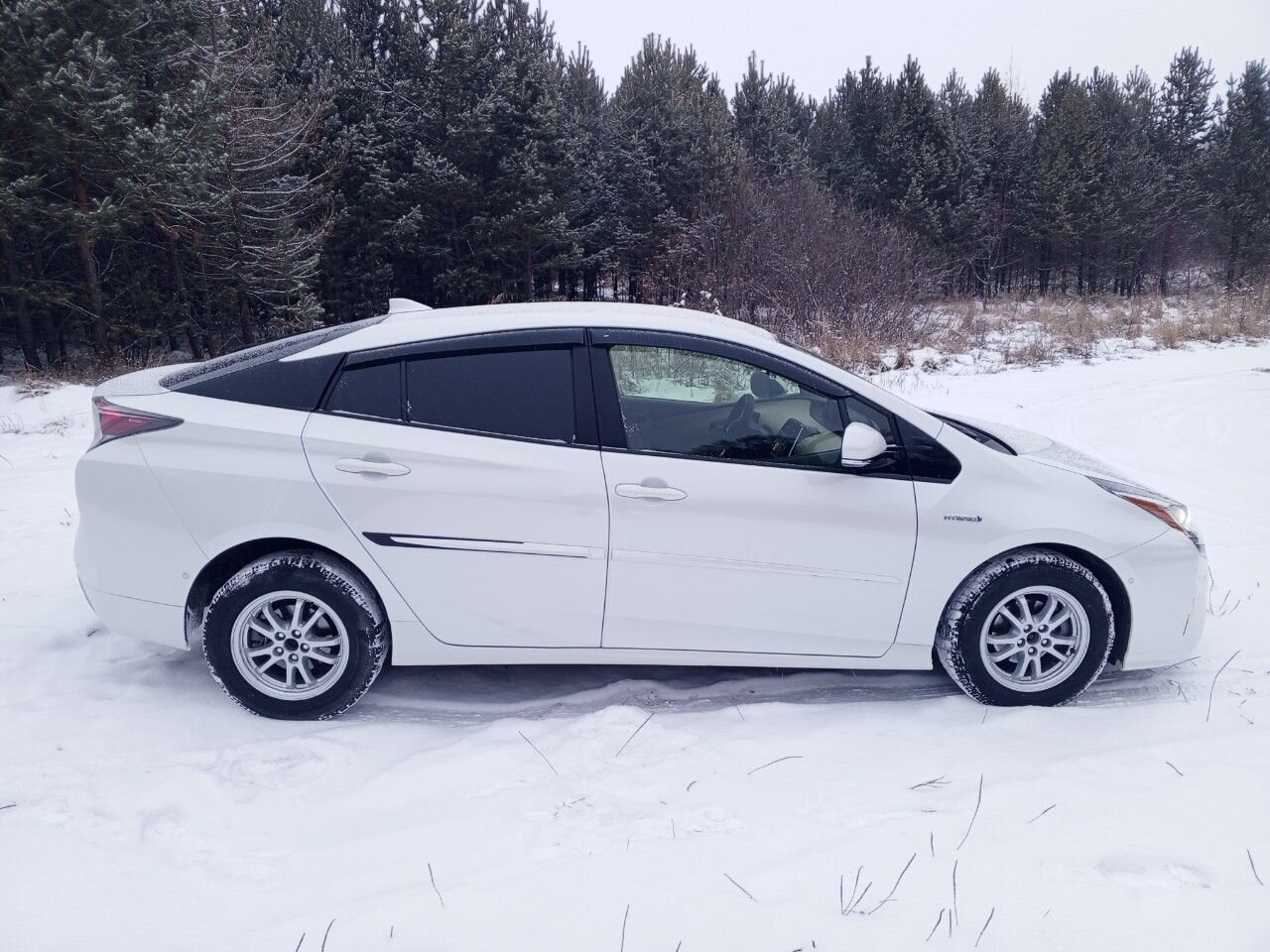 Toyota Prius: фото из отзыва