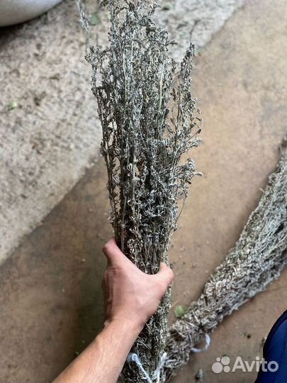 Полынь и душица