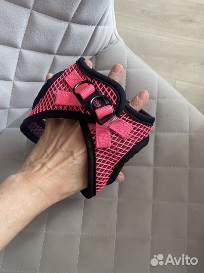 Шлейка для маленькой собаки