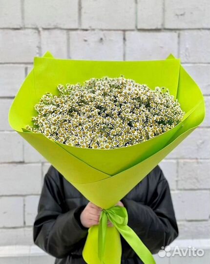 Цветы ромашки. Букеты ромашек. Цветы доставка