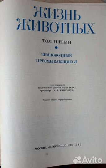 Жизнь животных