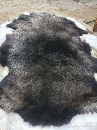 Шкуры овечьи козий Шкура
