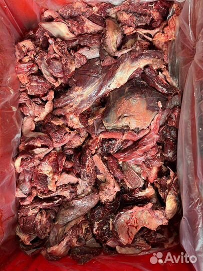 Корм для собак