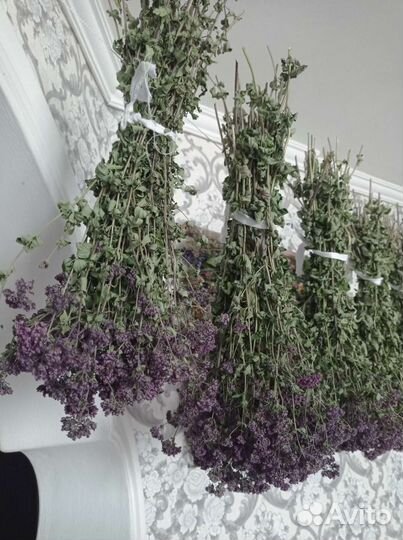 Душица сушеная