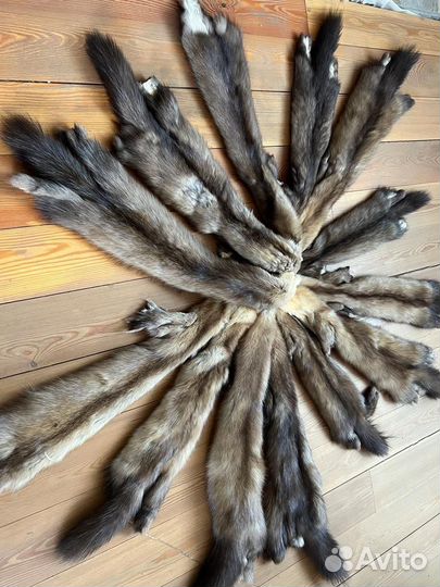 Шкуры соболя