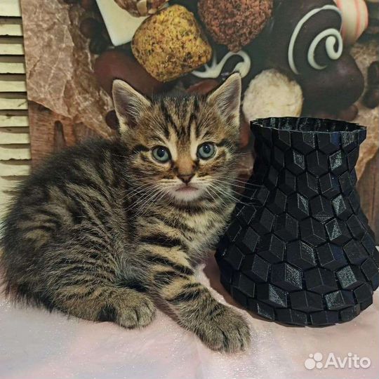 3D печать/мелкосерийное производство