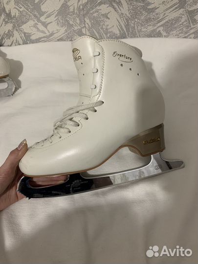 Фигурные коньки edea 260