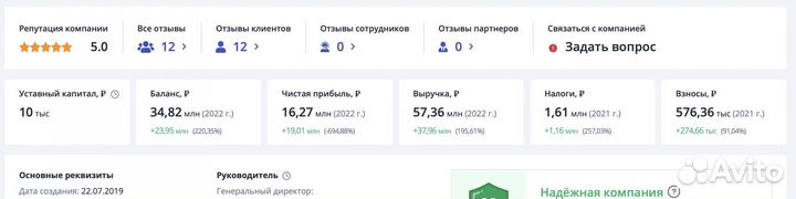 Прибыльная проектная компания