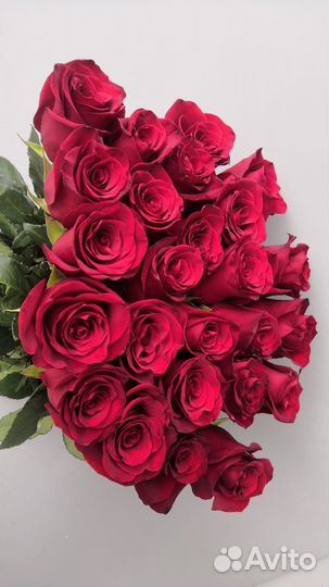 Свежие живые цветы в наличии опт и розница