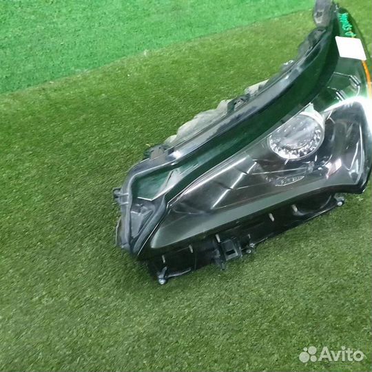 Фара левая Лексус нх 1 (2017-Н.В.)