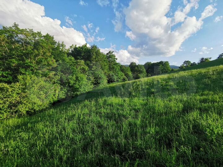 Участок 5,24 га (СНТ, ДНП)